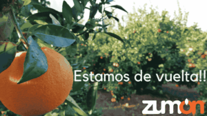 Cartel en el que pone "Estamos de vuelta" con una naranja y naranjos de fondo