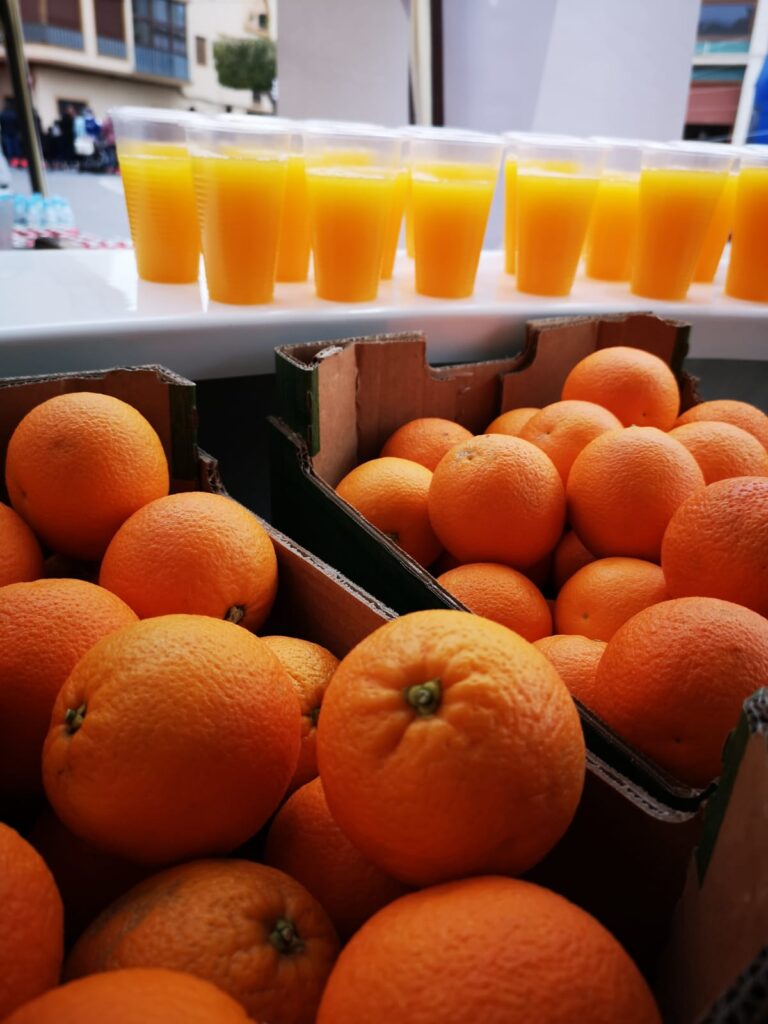 Naranjas en la carrera de trail de Vilavella